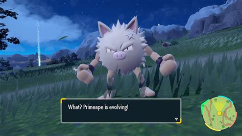 pokemon reborn elevator code.